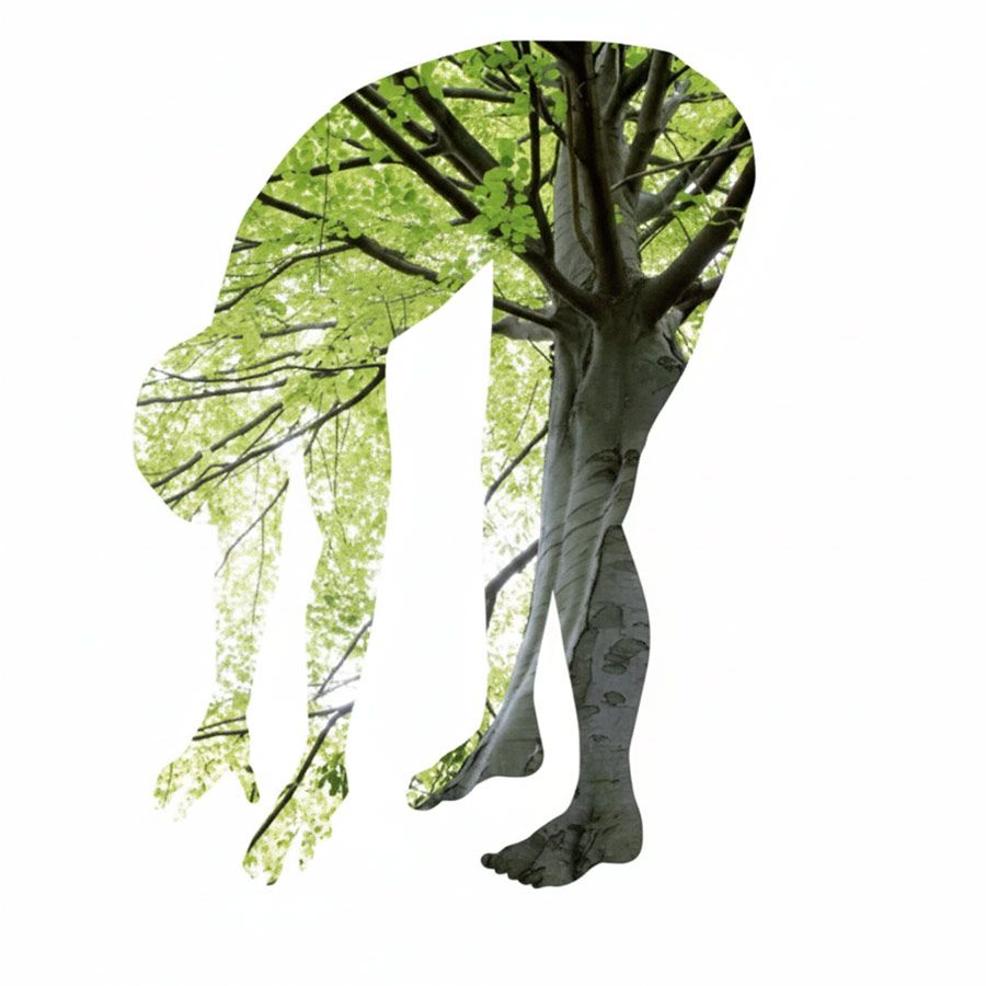 Home 8 Classi di Esercizi di Bioenergetica