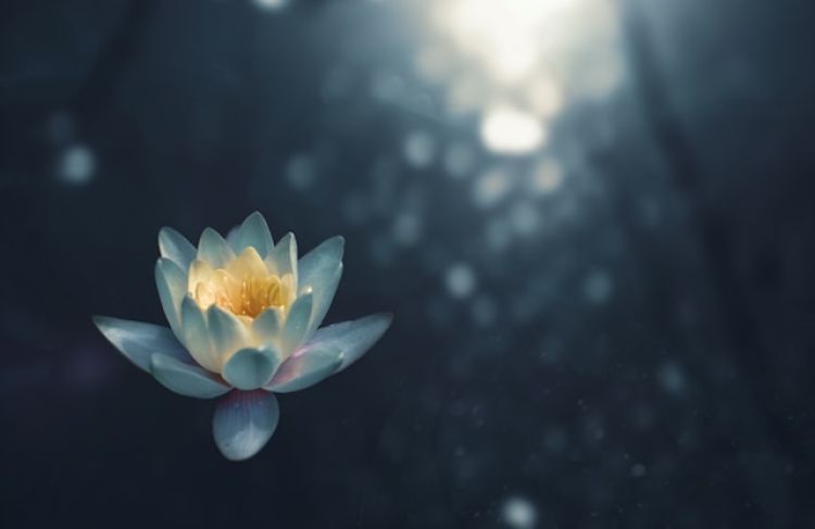 Praticare Per Ingentilirsi Di Corrado Pensa 1 zoltan tasi vHnVtLK8rCc unsplash 117b1b4e