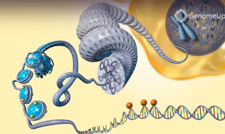 Epigenetica: Conversazione Con Bruce Lipton 1 epigenetica 6cb3f82a
