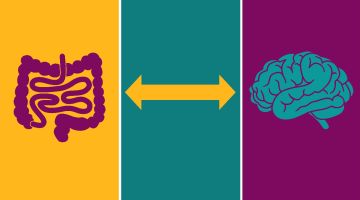intestino secondo cervello 941a742a