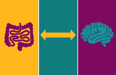 intestino secondo cervello ca780d58