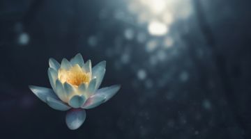 zoltan tasi vHnVtLK8rCc unsplash 4ed045d2