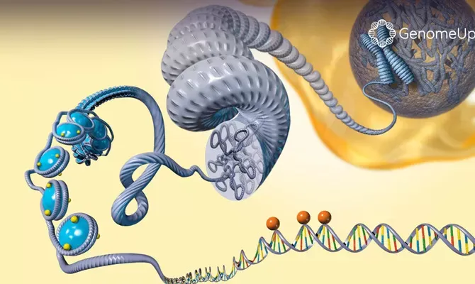 epigenetica 79f9e9ea