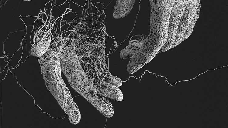 La Tecnica Points &Amp; Positions Di Will Davis 1 poit position 86cb9f08