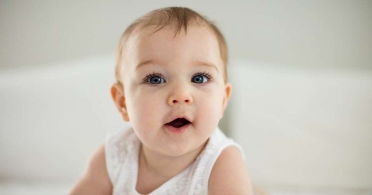 infant behavior research d1ac6eb6