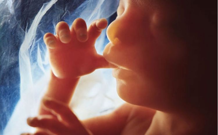 La Vita Psichica Prenatale: Breve Rassegna Sullo Sviluppo Psichico Del Bambino Prima Della Nascita 1 f4020026
